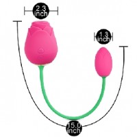 Rose Clitoral Sucking with Vibrating Egg Silicone 10-Speed PINK